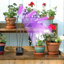 Load image into Gallery viewer, Adjustable 3-Head Grow Lights for Indoor Plants with Timer

