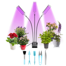 Load image into Gallery viewer, Adjustable 3-Head Grow Lights for Indoor Plants with Timer
