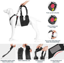 Load image into Gallery viewer, Size XL Support Harness Set Adjustable Chest Sling Strap for Elderly Disable Dog
