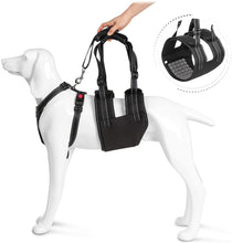 Load image into Gallery viewer, Size L Support Harness Set Adjustable Chest Sling Strap for Elderly Disable Dog
