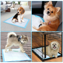 Load image into Gallery viewer, Ownpets Pet Dog Training Pads 40pcs 60x60cm 6 Layer Underpads Pee Mats Quick Dry
