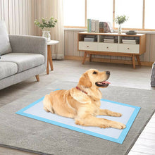 Load image into Gallery viewer, Ownpets Pet Dog Training Pads 30pcs 90x60cm Extra Large 6Layer Underpads Pee Mat
